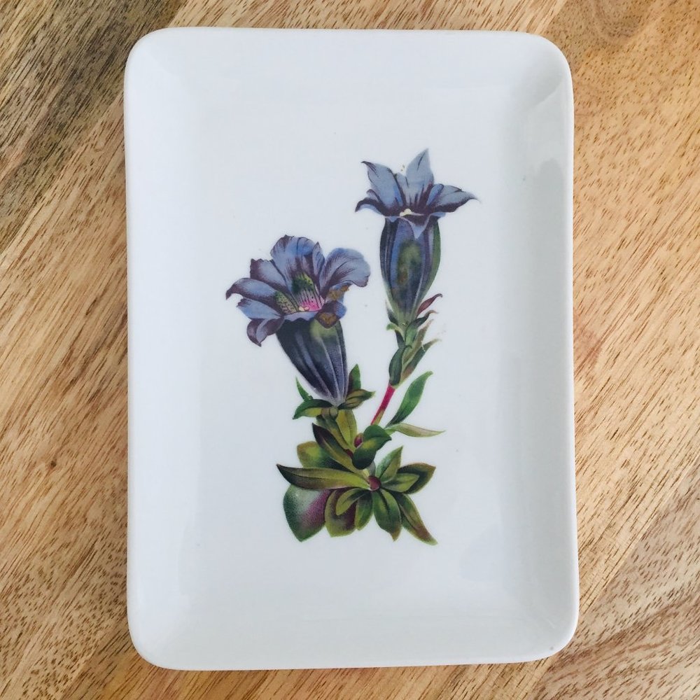 Vintage Schumann Arzberg Porcelain  Floral Trinket 7" Plate  Germany